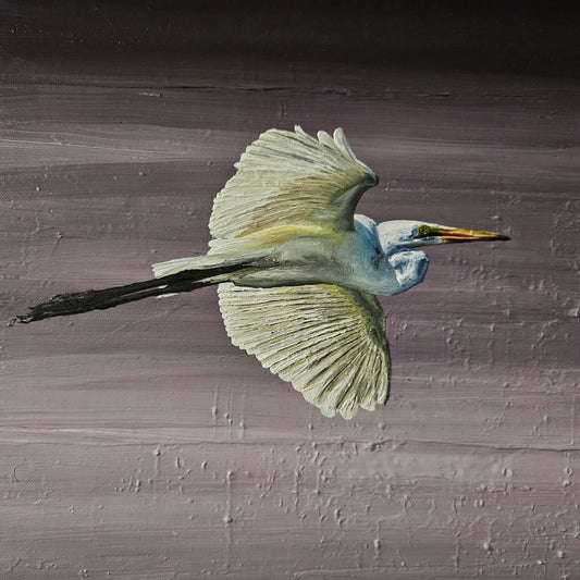 The Flight by Haydn Englander-Porter | A Story of Freedom, Stillness and Contemporary Australian Art